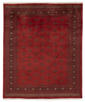 Pakistan Buchara 3ply 300x250