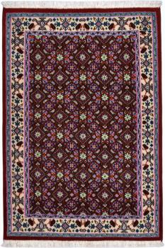 Moud 89x61
