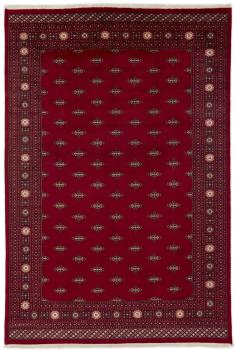 Pakistan Buchara 2ply 358x246