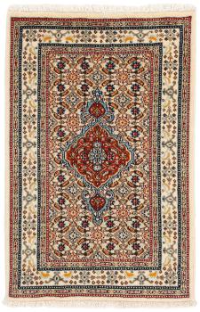 Moud Mahi 89x61