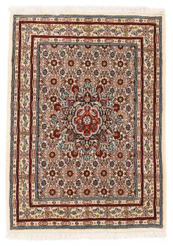 Moud Mahi 85x62