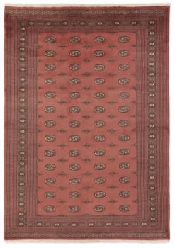 パキスタン Buchara 3ply 345x243