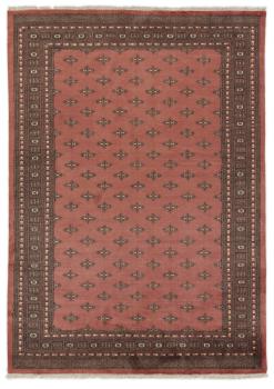 パキスタン Buchara 3ply 345x244