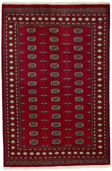 Pakistan Buchara 2ply 247x167