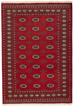 Pakistan Buchara 2ply 244x169