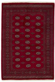 Pakistan Buchara 3ply 241x169