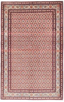 Moud 244x152