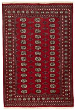 Pakistan Buchara 2ply 249x167
