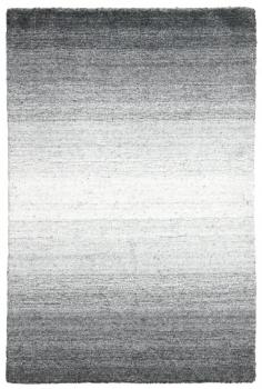 Shining Horizon 89x61