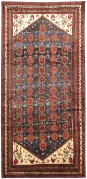 Shiraz Old 341x163