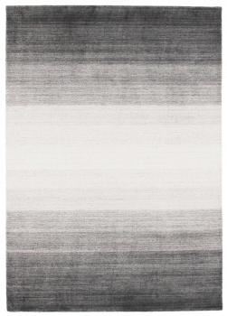 Shining Horizon 351x251
