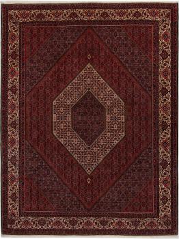 Bidjar 337x259