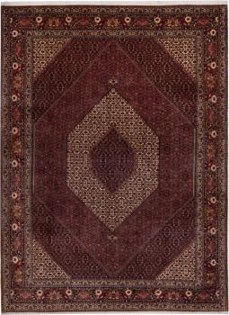 Bidjar 339x253