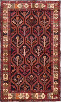Bakhtiari 245x147