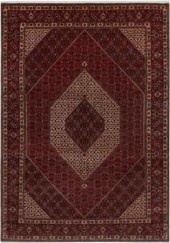 Bidjar 353x249