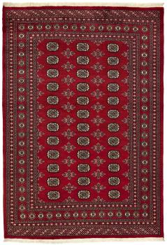 Pakistan Buchara 2ply 246x172