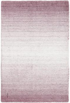 Shining Horizon 91x59