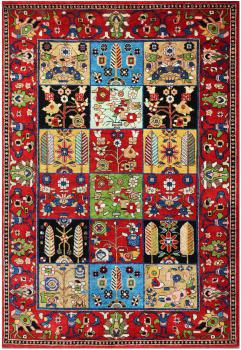 Sadraa 173x217