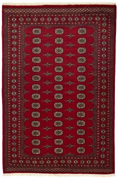 Pakistan Buchara 2ply 248x170