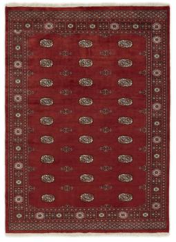 Pakistan Buchara 3ply 235x171