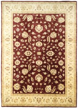 Ziegler Farahan 429x309