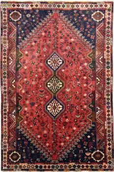 Shiraz 271x156