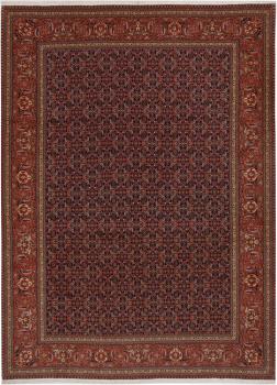 Tabriz 50Raj 344x254