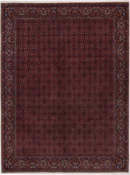 Bidjar 339x254