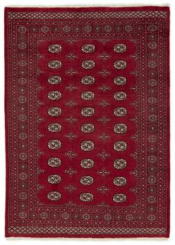 Pakistan Buchara 3ply 238x168