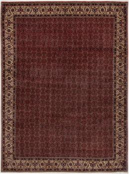 Bidjar 335x244