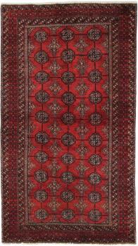 Baluch 199x111