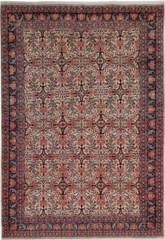 Bidjar 361x254
