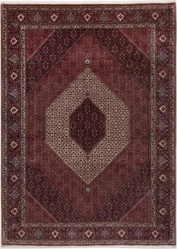 Bidjar 351x249