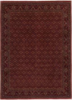 Bidjar 341x246