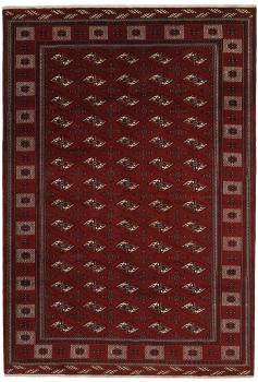Turkaman 383x262