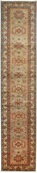 Kazak 415x84
