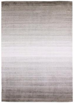 Shining Horizon 351x251