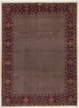 Birdjand 339x249