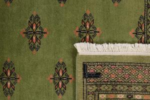 Pakistan Buchara 2ply 241x169