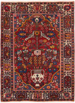 Bakhtiar 201x151