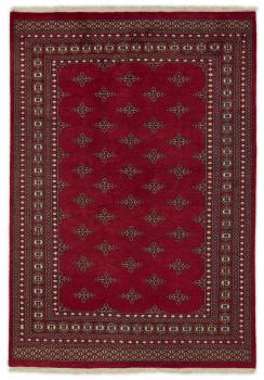 Pakistan Buchara 2ply 244x168