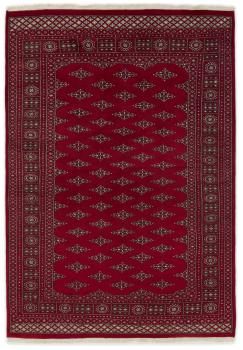 Pakistan Buchara 2ply 244x171