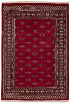 Pakistan Buchara 2ply 245x166