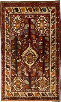 Shiraz 249x156