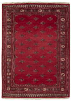 Pakistan Buchara 2ply 239x170