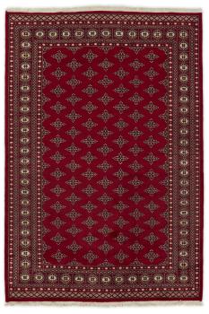Pakistan Buchara 2ply 249x170