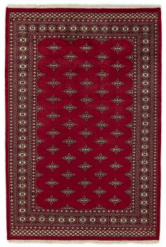 Pakistan Buchara 2ply 252x168