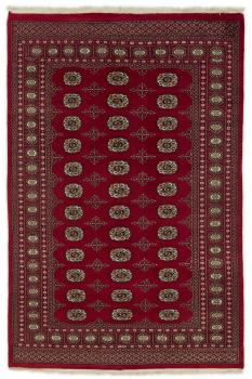 Pakistan Buchara 2ply 249x165