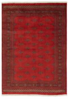 Pakistan Buchara 2ply 240x171