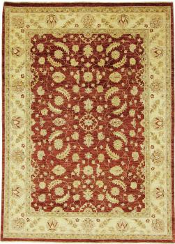 Ziegler Farahan 238x173